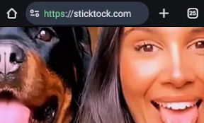 StickTock